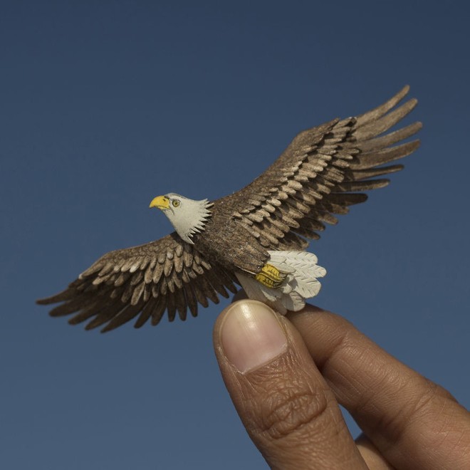 Kinh ngạc trước loạt chim bé bằng móng tay nhưng thông điệp mà chúng truyền tải mới là điều ý nghĩa - Ảnh 9.