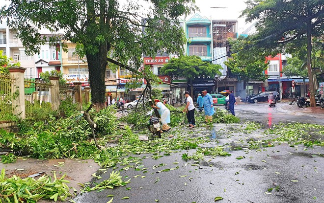 Bảo Lộc: Gió giật mạnh làm hàng loạt cây xanh gãy đổ, giao thông gặp nhiều khó khăn - Ảnh 1.