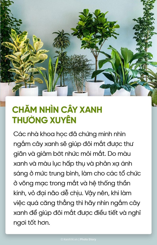 Vài thói quen cần tạo để có 1 đôi mắt long lanh và không lo bị tăng số - Ảnh 4.