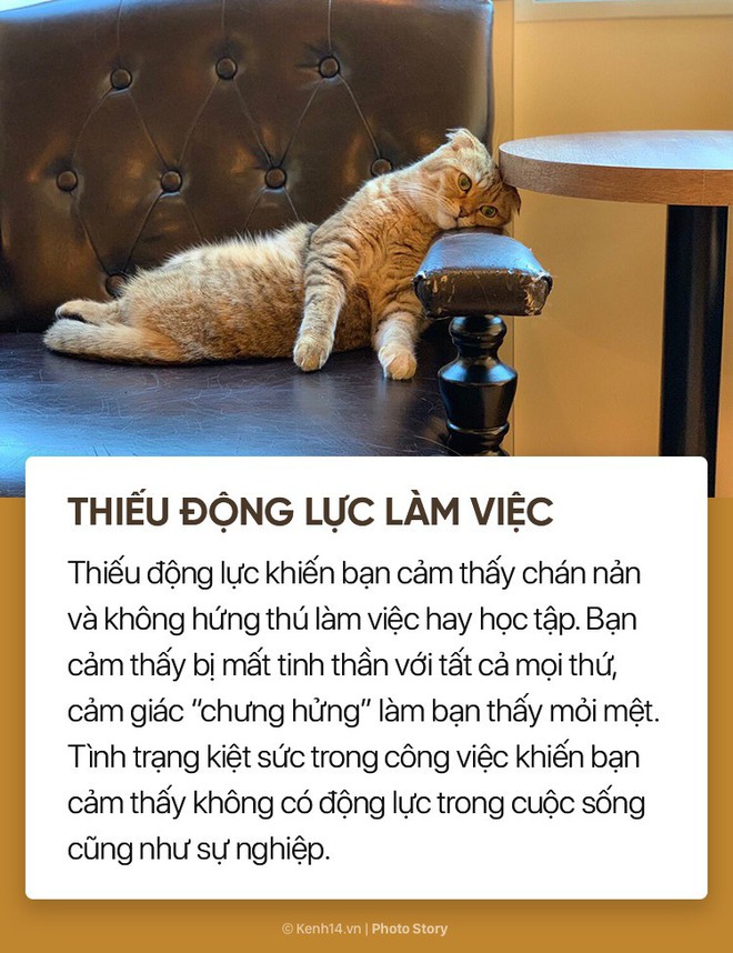 Nếu có những dấu hiệu này trong người, có thể bạn đang bị kiệt sức trong công việc - Ảnh 7.