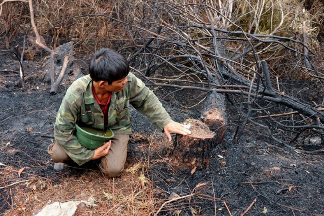 Người hùng trong vụ cháy rừng ở Hà Tĩnh: Đạp xe hơn 12km, vượt núi băng rừng để dập lửa nhưng quyết không nhận thù lao - Ảnh 1.