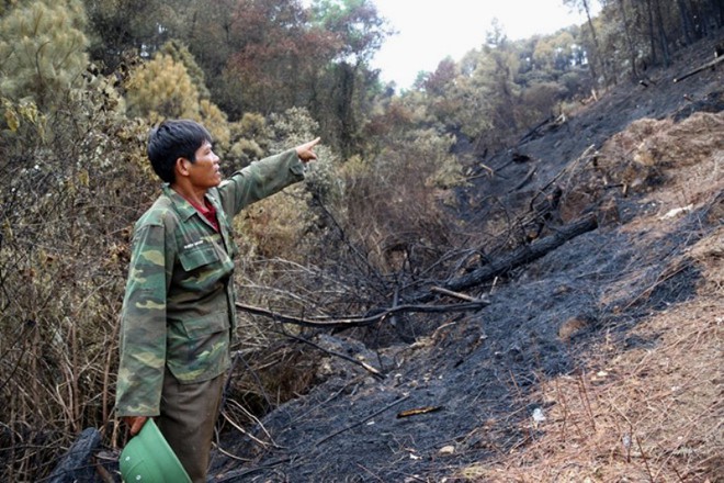 Người hùng trong vụ cháy rừng ở Hà Tĩnh: Đạp xe hơn 12km, vượt núi băng rừng để dập lửa nhưng quyết không nhận thù lao - Ảnh 3.