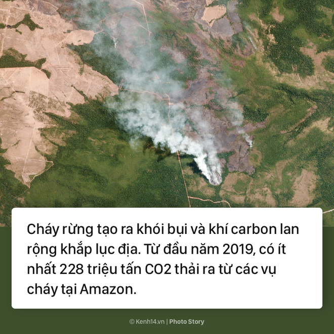 Toàn cảnh thảm hoạ cháy rừng Amazon khiến cả thế giới bàng hoàng - Ảnh 5.