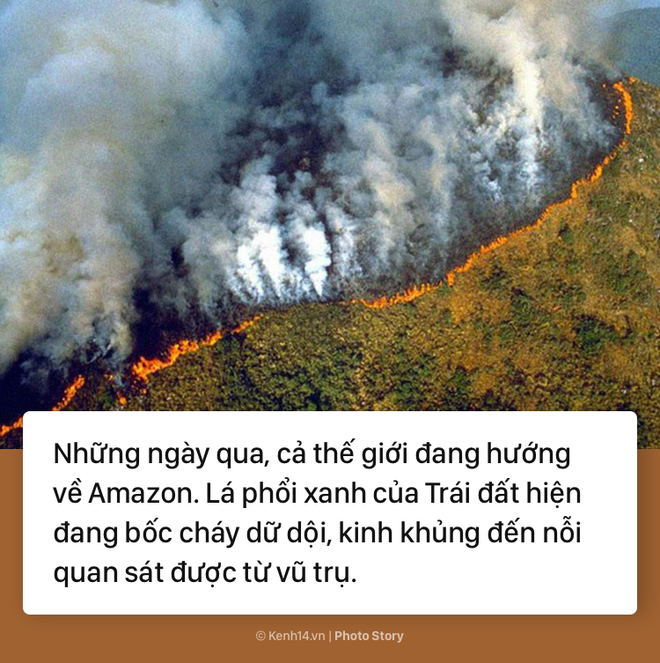 Toàn cảnh thảm hoạ cháy rừng Amazon khiến cả thế giới bàng hoàng - Ảnh 1.