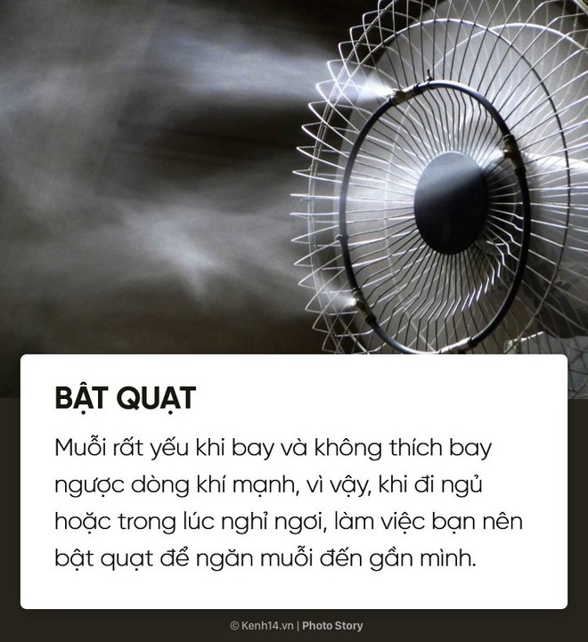 Dịch sốt xuất huyết lại bùng lên, đừng bỏ qua những cách đuổi muỗi đơn giản dễ áp dụng này để muỗi không có cơ hội hại bạn - Ảnh 3.