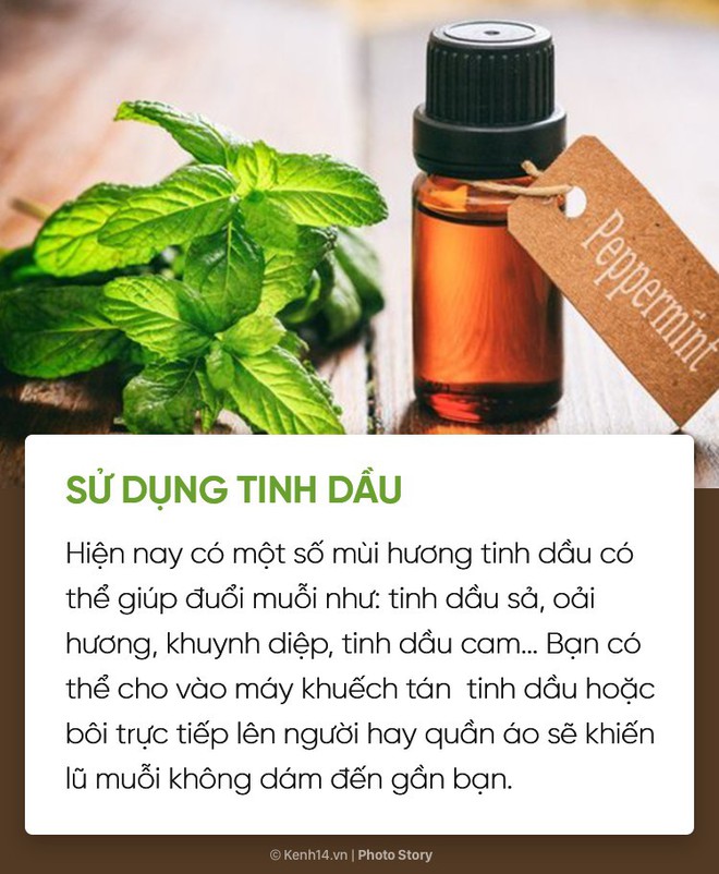 Dịch sốt xuất huyết lại bùng lên, đừng bỏ qua những cách đuổi muỗi đơn giản dễ áp dụng này để muỗi không có cơ hội hại bạn - Ảnh 1.