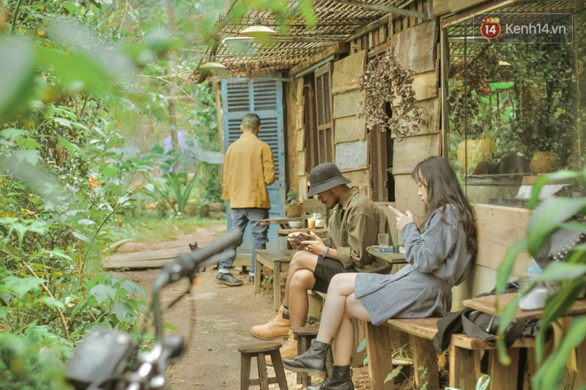 Đà Lạt có 4 quán cafe theo phong cách “chill phết” cực hiếm người biết: Nằm biệt lập giữa rừng thông, đứng góc nào sống ảo cũng đẹp - Ảnh 1. Đà Lạt có 4 quán cafe theo phong cách “chill phết” cực hiếm người biết: Nằm biệt lập giữa rừng thông, đứng góc nào sống ảo cũng đẹp - Ảnh 1.