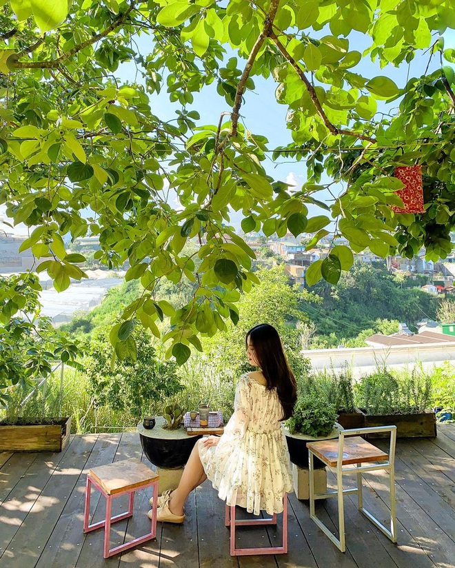 Đà Lạt có 4 quán cafe theo phong cách “chill phết” cực hiếm người biết: Nằm biệt lập giữa rừng thông, đứng góc nào sống ảo cũng đẹp - Ảnh 13. Đà Lạt có 4 quán cafe theo phong cách “chill phết” cực hiếm người biết: Nằm biệt lập giữa rừng thông, đứng góc nào sống ảo cũng đẹp - Ảnh 13.