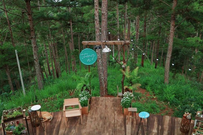 Đà Lạt có 4 quán cafe theo phong cách “chill phết” cực hiếm người biết: Nằm biệt lập giữa rừng thông, đứng góc nào sống ảo cũng đẹp - Ảnh 18. Đà Lạt có 4 quán cafe theo phong cách “chill phết” cực hiếm người biết: Nằm biệt lập giữa rừng thông, đứng góc nào sống ảo cũng đẹp - Ảnh 18.