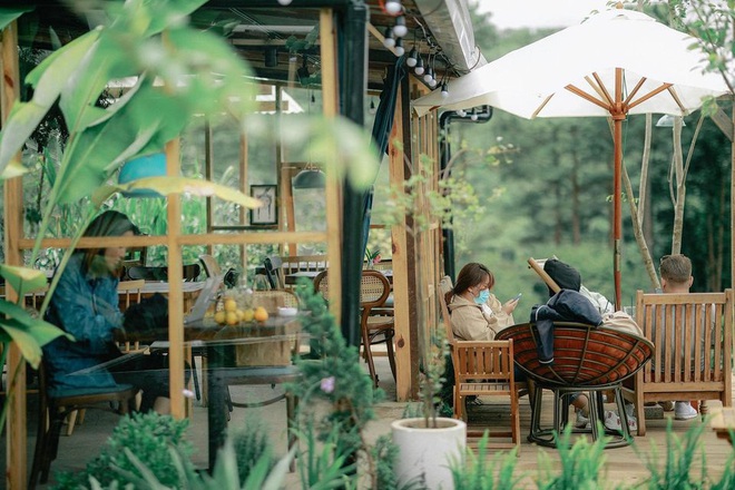 Đà Lạt có 4 quán cafe theo phong cách “chill phết” cực hiếm người biết: Nằm biệt lập giữa rừng thông, đứng góc nào sống ảo cũng đẹp - Ảnh 31. Đà Lạt có 4 quán cafe theo phong cách “chill phết” cực hiếm người biết: Nằm biệt lập giữa rừng thông, đứng góc nào sống ảo cũng đẹp - Ảnh 31.