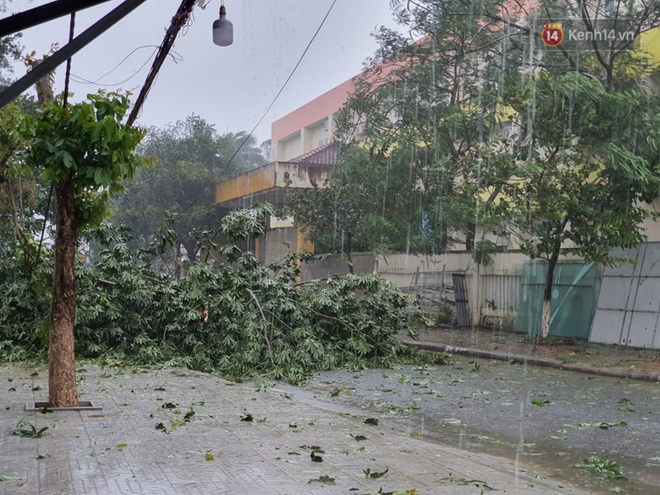 Bão số 9 sắp đổ bộ: Gió giật mạnh ở Quảng Ngãi, đã có nhà bị tốc mái; Hội An ngập sâu nhiều tuyến đường - Ảnh 3.
