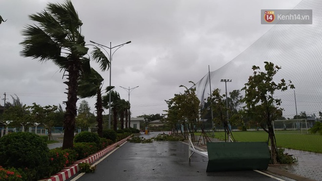 Bão số 9 sắp đổ bộ: Gió giật mạnh ở Quảng Ngãi, đã có nhà bị tốc mái; phong toả một phần Quốc lộ 1A khiến hàng trăm xe ùn tắc - Ảnh 1.