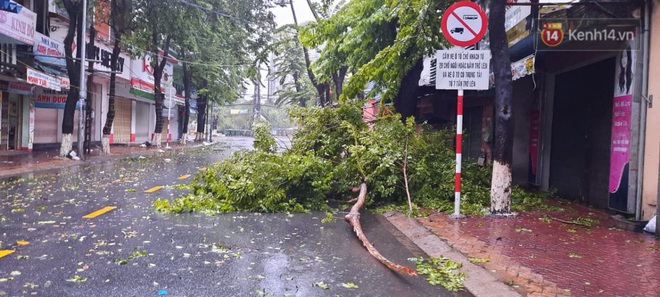 Bão số 9 sắp đổ bộ: Gió giật mạnh ở Quảng Ngãi, đã có nhà bị tốc mái; Hội An ngập sâu nhiều tuyến đường - Ảnh 2.
