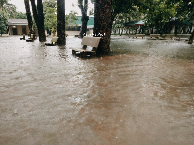 Mưa lớn nhiều ngày biến trường học Nghệ An thành bể bơi, có chỗ ngập sâu cả mét - Ảnh 4. Mưa lớn nhiều ngày biến trường học Nghệ An thành bể bơi, có chỗ ngập sâu cả mét - Ảnh 4.