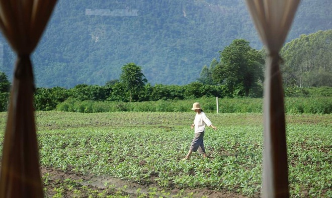 Đến thăm nhà và vườn của Bếp trên đỉnh đồi: Bỏ thành phố về quê sống phải chăng chỉ cần an yên như thế này? - Ảnh 16.