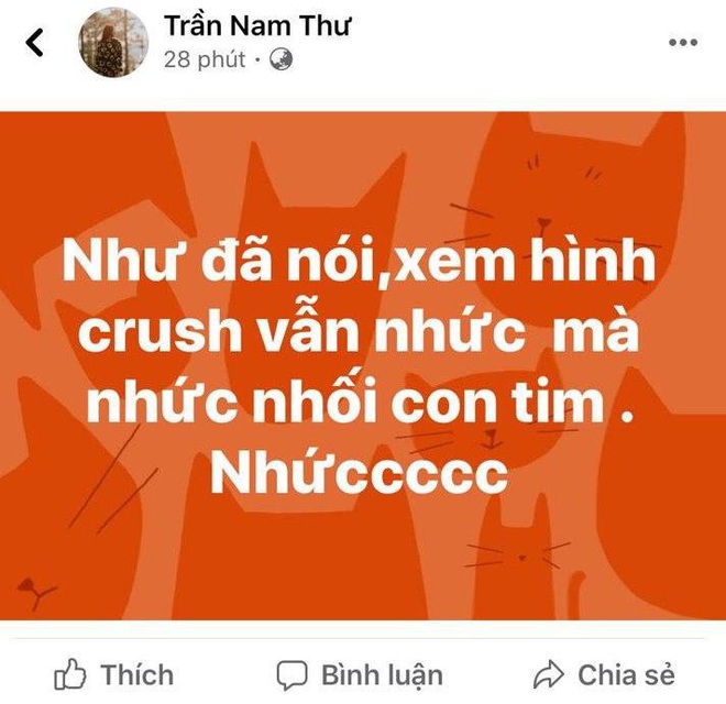 Nam Thư lộ dấu hiệu crush một anh chàng bí mật: Facebook nhuộm màu tình yêu, đến mức MC Quyền Linh và Tú Vi phải vào trêu - Ảnh 3.