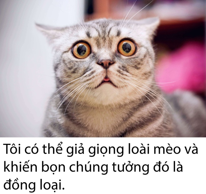 Khi cư dân mạng chia sẻ những tài lẻ... vô dụng khiến ai nghe xong cũng cười mệt nghỉ - Ảnh 10.