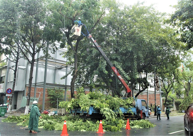 Ảnh: Sau Covid-19, người dân Đà Nẵng lại hối hả chống bão số 5 - Ảnh 13. Ảnh: Sau Covid-19, người dân Đà Nẵng lại hối hả chống bão số 5 - Ảnh 13.
