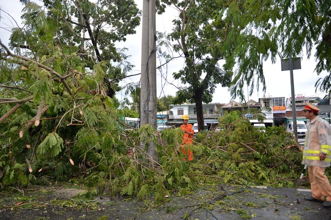 Cây ngã la liệt khiến 1 người chết và nhiều người bị thương, toàn tỉnh Thừa Thiên Huế mất điện sau khi bão số 5 đổ bộ - Ảnh 1. Cây ngã la liệt khiến 1 người chết và nhiều người bị thương, toàn tỉnh Thừa Thiên Huế mất điện sau khi bão số 5 đổ bộ - Ảnh 1.