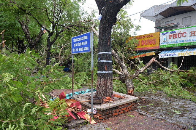 Cây ngã la liệt khiến 1 người chết và nhiều người bị thương, toàn tỉnh Thừa Thiên Huế mất điện sau khi bão số 5 đổ bộ - Ảnh 4. Cây ngã la liệt khiến 1 người chết và nhiều người bị thương, toàn tỉnh Thừa Thiên Huế mất điện sau khi bão số 5 đổ bộ - Ảnh 4.