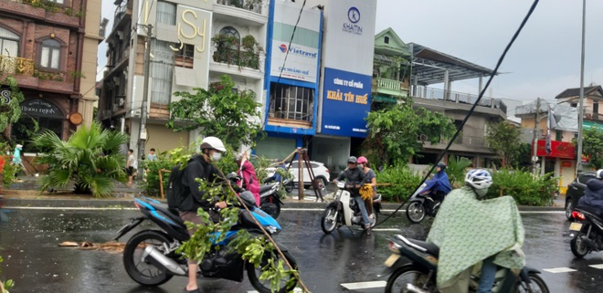 Bão số 5 khiến 23 người bị thương, 1 người đàn ông đi xe máy bị cây đè tử vong - Ảnh 2. Bão số 5 khiến 23 người bị thương, 1 người đàn ông đi xe máy bị cây đè tử vong - Ảnh 2.