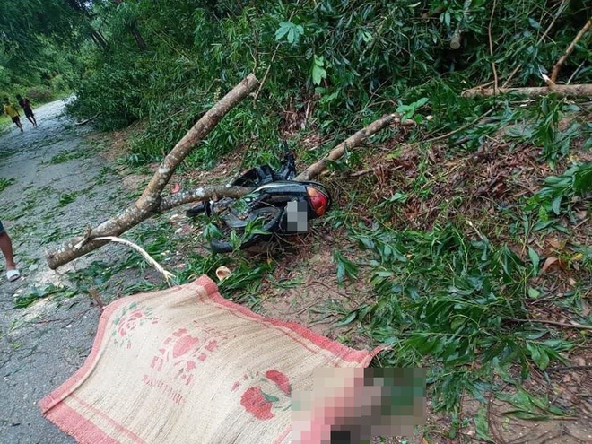 Bão số 5 khiến 23 người bị thương, 1 người đàn ông đi xe máy bị cây đè tử vong - Ảnh 1. Bão số 5 khiến 23 người bị thương, 1 người đàn ông đi xe máy bị cây đè tử vong - Ảnh 1.