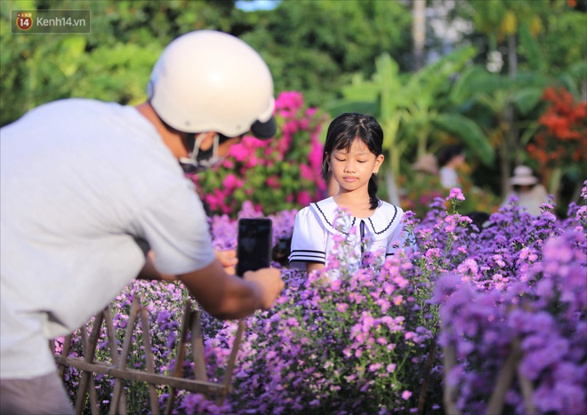 Dân tình chen chúc sống ảo tại vườn hoa thạch thảo đẹp lịm tim lần đầu được trồng ở Đà Nẵng - Ảnh 11. Dân tình chen chúc sống ảo tại vườn hoa thạch thảo đẹp lịm tim lần đầu được trồng ở Đà Nẵng - Ảnh 11.