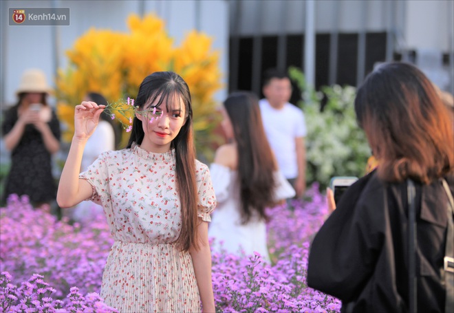 Dân tình chen chúc sống ảo tại vườn hoa thạch thảo đẹp lịm tim lần đầu được trồng ở Đà Nẵng - Ảnh 13. Dân tình chen chúc sống ảo tại vườn hoa thạch thảo đẹp lịm tim lần đầu được trồng ở Đà Nẵng - Ảnh 13.