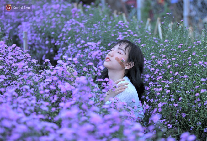 Dân tình chen chúc sống ảo tại vườn hoa thạch thảo đẹp lịm tim lần đầu được trồng ở Đà Nẵng - Ảnh 9. Dân tình chen chúc sống ảo tại vườn hoa thạch thảo đẹp lịm tim lần đầu được trồng ở Đà Nẵng - Ảnh 9.