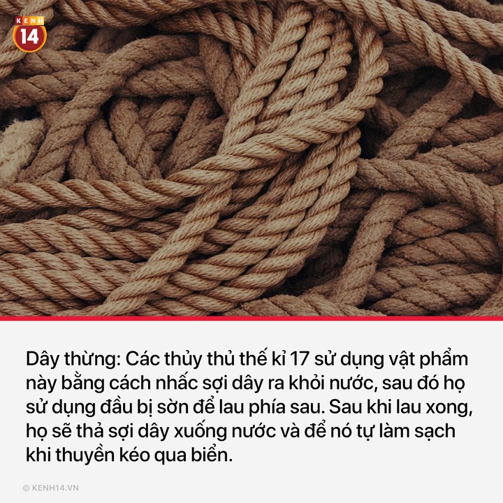 Góc suy ngẫm: trước khi giấy vệ sinh ra đời, nhân loại đã phải dùng gì sau khi giải quyết? - Ảnh 7.