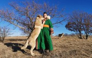 Cô gái Mông Cổ với dàn pet độc 8 con sói, 3 bạn trai đều đòi chia tay vì sợ cãi nàng sẽ bị ăn thịt