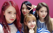 Nhìn vào con số này, tốt hơn hết là "bố Yang" nên chăm Black Pink kỹ hơn