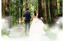 Say đắm trong khu vườn "Miracle Forest" tại Gem Center