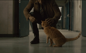 "Rụng tim" với biểu cảm nựng mèo "cute" không lối thoát của Nick Fury trong trailer "Captain Marvel"