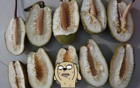 Thanh niên số nhọ mua được 5 quả mít đều đạt chuẩn 3K: Không mùi, không múi, không hạt, chỉ có mỗi xơ