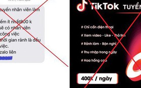 Tham gia kiếm tiền trên ứng dụng TikTok, một phụ nữ bị lừa gần 300 triệu đồng