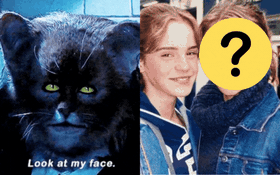 Đúng là cú lừa: Nàng mèo Hermione ở Harry Potter không phải Emma Watson, sau lớp mặt nạ là mỹ nhân đẹp chả thua kém