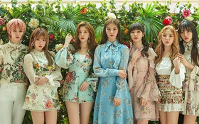 Cựu thành viên GWSN miêu tả cuộc sống thần tượng Kpop như "ngục tù"