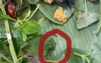 Đang ăn bún đậu thì phát hiện sâu lông bò trên khay rau, cô gái tá hoả yêu cầu gặp chủ quán, đáng bực nhất là thái độ của nhân viên