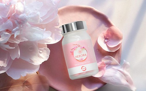 Hoa anh đào, nữ hoàng lưu hương xứ Phù Tang