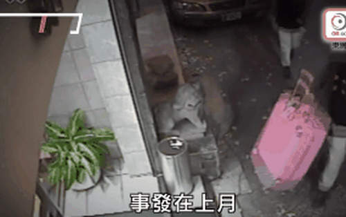 Vụ án nam thanh niên Hongkong giết bạn gái, phi tang xác trong vali: Nhiều tình tiết gây phẫn nộ được hé mở