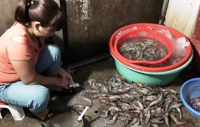 Phát hiện tôm sú bơm tạp chất tại chợ hải sản Đà Nẵng