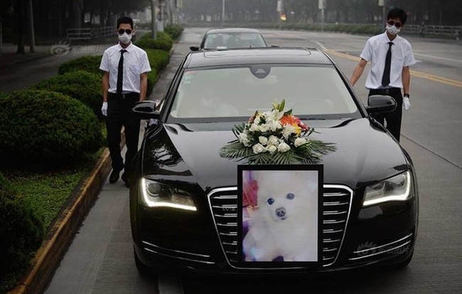 Lễ tang long trọng của chú cún cưng