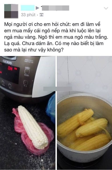 Mẹo luộc ngô nếp dẻo ngọt ai ăn cũng tấm tắc khen ngon