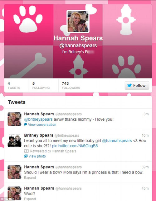 Britney lập hẳn tài khoản Twitter cho cún cưng 2