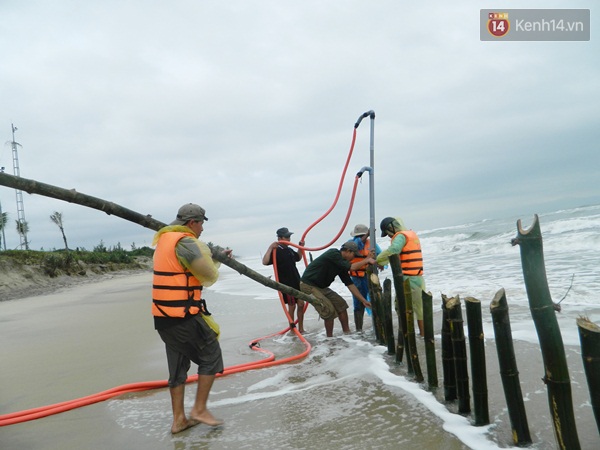 Trắng đ&ecirc;m cứu biển Cửa Đại - Ảnh 2.