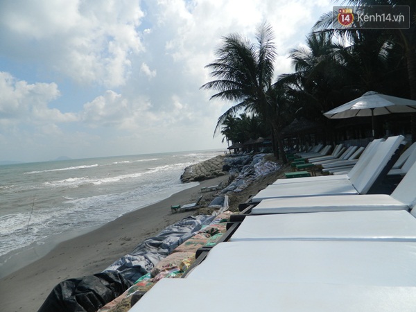 Trắng đ&ecirc;m cứu biển Cửa Đại - Ảnh 11.