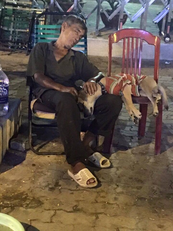 Những khoảnh khắc b&igrave;nh dị m&agrave; chạm đến tr&aacute;i tim của cuộc sống quanh bạn - Ảnh 9.