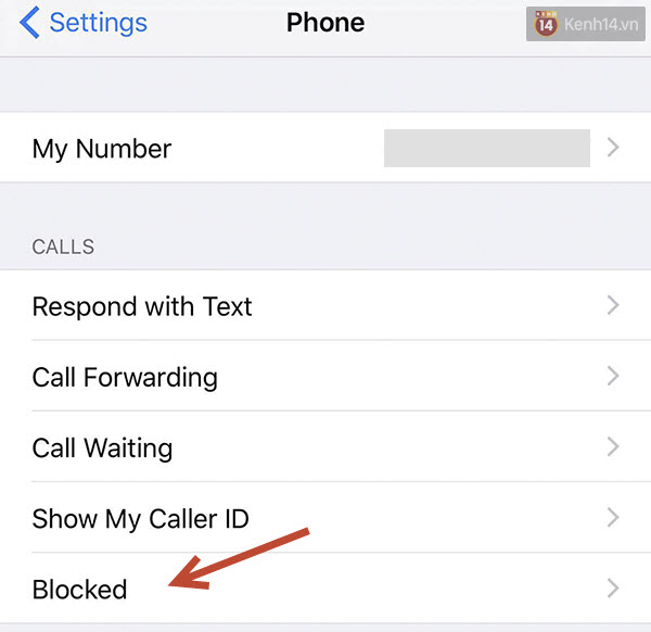 Chặn tin nhắn, cuộc gọi quấy rối trên iPhone vô cùng đơn giản - Ảnh 2.
