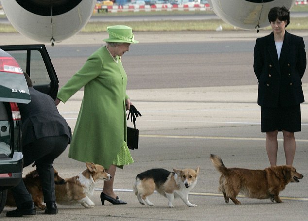 Câu chuyện đáng yêu về "tiểu đội vệ binh" toàn chó Corgi của Nữ hoàng Anh